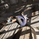 Image for article titled Play or Pass? Tony Hawk Pro Skater 1 + 2 Remastered